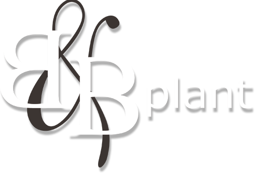 logo B&B Plant